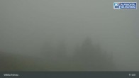 Archived image Webcam Top Station on Schatzberg (Wildschönau) 10:00