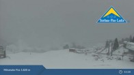 Archived image Webcam Möseralm near Fiss 14:00