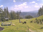 Archiv Foto Webcam Brunnalm: Bergstation Panoramalift 13:00