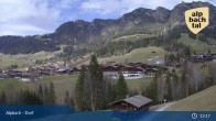 Archived image Webcam Feilmoos at Alpbachtal valley 12:00