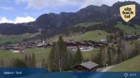 Archiv Foto Webcam Feilmoos im Alpbachtal 10:00