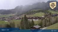 Archiv Foto Webcam Feilmoos im Alpbachtal 12:00