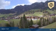 Archiv Foto Webcam Feilmoos im Alpbachtal 14:00