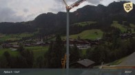 Archiv Foto Webcam Feilmoos im Alpbachtal 02:00