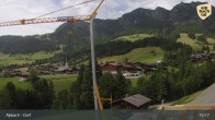Archiv Foto Webcam Feilmoos im Alpbachtal 14:00