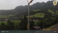 Archiv Foto Webcam Feilmoos im Alpbachtal 16:00