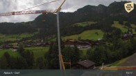 Archiv Foto Webcam Feilmoos im Alpbachtal 18:00