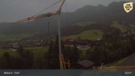 Archiv Foto Webcam Feilmoos im Alpbachtal 20:00