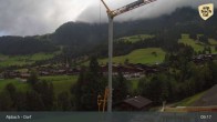 Archived image Webcam Feilmoos at Alpbachtal valley 08:00