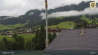 Archiv Foto Webcam Feilmoos im Alpbachtal 08:00