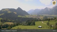 Archiv Foto Webcam Pinzgerhof - Brunnerberg 12:00