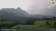 Archiv Foto Webcam Pinzgerhof - Brunnerberg 14:00