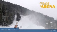 Archiv Foto Webcam Zillertal Arena: Märchenwald Königsleiten 12:00