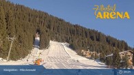 Archiv Foto Webcam Zillertal Arena: Märchenwald Königsleiten 08:00