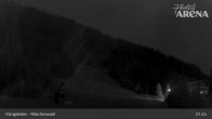 Archiv Foto Webcam Zillertal Arena: Märchenwald Königsleiten 00:00