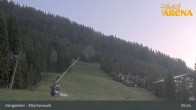 Archiv Foto Webcam Zillertal Arena: Märchenwald Königsleiten 04:00
