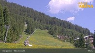 Archiv Foto Webcam Zillertal Arena: Märchenwald Königsleiten 10:00