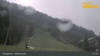 Archiv Foto Webcam Zillertal Arena: Märchenwald Königsleiten 16:00