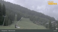 Archived image Webcam Enchanted forest - Königsleiten 20:00