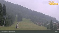Archiv Foto Webcam Zillertal Arena: Märchenwald Königsleiten 00:00