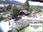 Archiv Foto Webcam Das Hotel Molzbachhof in Kirchberg am Wechsel 11:00