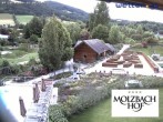 Archived image Webcam The hotel Molzbachhof in Kirchberg am Wechsel 11:00