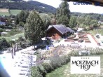 Archived image Webcam The hotel Molzbachhof in Kirchberg am Wechsel 11:00