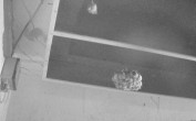 Archiv Foto Webcam Feistritz an der Gail: Fledermaushaus 01:00