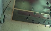 Archiv Foto Webcam Feistritz an der Gail: Fledermaushaus 09:00
