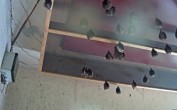 Archiv Foto Webcam Feistritz an der Gail: Fledermaushaus 11:00