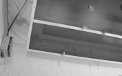 Archiv Foto Webcam Feistritz an der Gail: Fledermaushaus 19:00