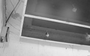 Archiv Foto Webcam Feistritz an der Gail: Fledermaushaus 03:00