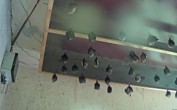 Archived image Webcam Feistritz an der Gail: Bat House 09:00