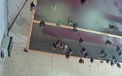 Archived image Webcam Feistritz an der Gail: Bat House 13:00