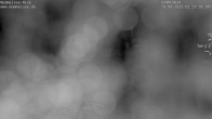 Archived image Webcam Lake Mummelsee 01:00