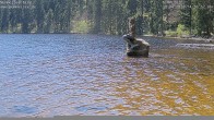 Archiv Foto Webcam Mummelsee: Seeufer 13:00