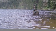 Archiv Foto Webcam Mummelsee: Seeufer 17:00