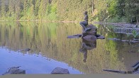 Archiv Foto Webcam Mummelsee: Seeufer 01:00
