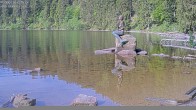 Archiv Foto Webcam Mummelsee: Seeufer 02:00