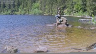 Archiv Foto Webcam Mummelsee: Seeufer 04:00