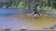 Archiv Foto Webcam Mummelsee: Seeufer 06:00