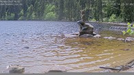 Archiv Foto Webcam Mummelsee: Seeufer 08:00