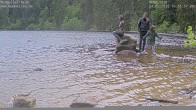 Archiv Foto Webcam Mummelsee: Seeufer 10:00