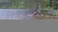Archiv Foto Webcam Mummelsee: Seeufer 12:00