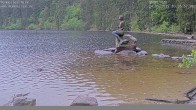 Archiv Foto Webcam Mummelsee: Seeufer 14:00