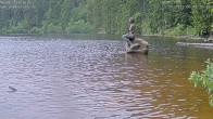 Archiv Foto Webcam Mummelsee: Seeufer 06:00