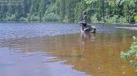 Archived image Webcam Lake Mummelsee 11:00