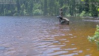 Archived image Webcam Lake Mummelsee 13:00
