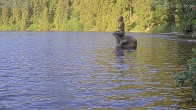 Archiv Foto Webcam Mummelsee: Seeufer 01:00