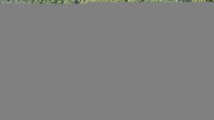 Archiv Foto Webcam Mummelsee: Seeufer 02:00